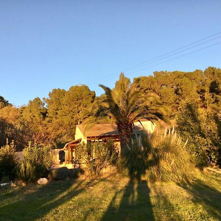 Schwanenvilla Paraza Εξωτερικό φωτογραφία